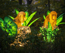 Wystawa Garden of Lights: Dzika Azja we wrocławskim zoo, październik 2024